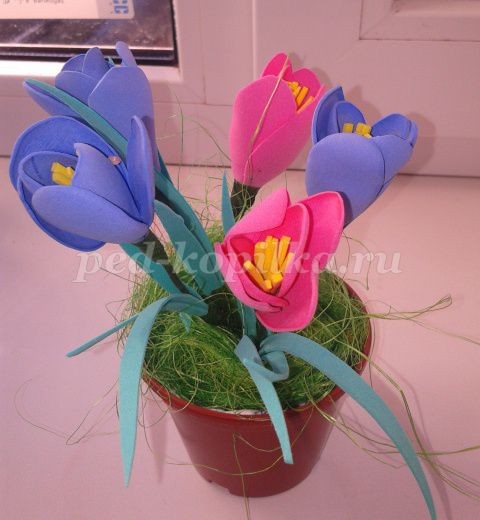 Крокусы из фоамирана детскими руками: часть 2 Крокусы из фоамирана детскими руками: часть 2