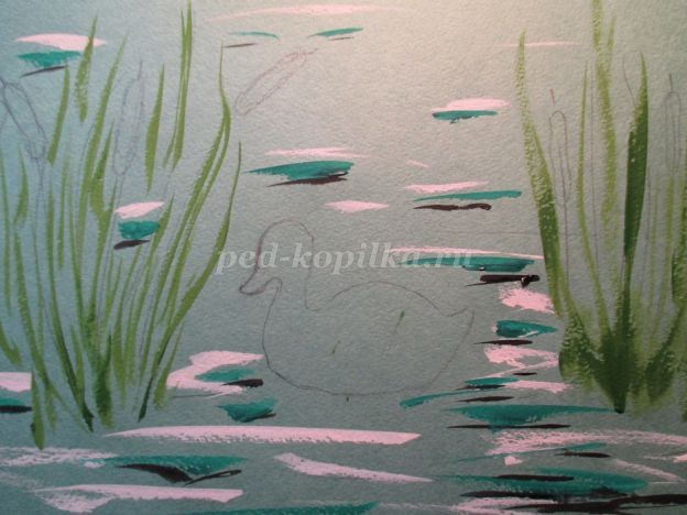 ​Уточка в камышах: часть 2