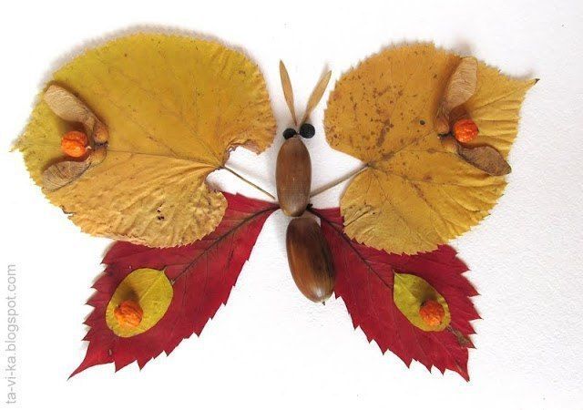 Бабочки из разноцветных листьев