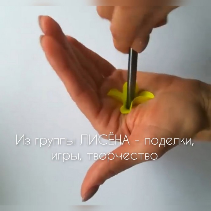 ​Курочка-наседка