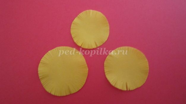 Цыпленок вылупляется из яичка: часть 1