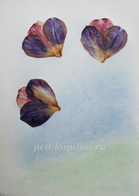 Цветочное чудо Цветочное чудо