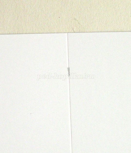 Открытка с эхинацеей в технике квиллинга: часть 1 Открытка с эхинацеей в технике квиллинга: часть 1