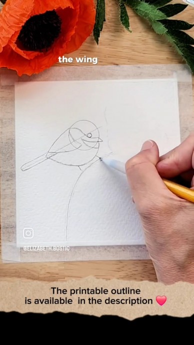 Птичка на маке