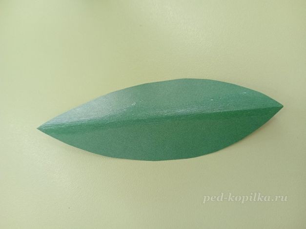 Цветок гиацинт: часть 2