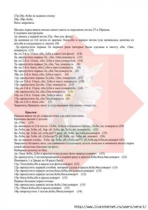 Попугайчик Чили Попугайчик Чили