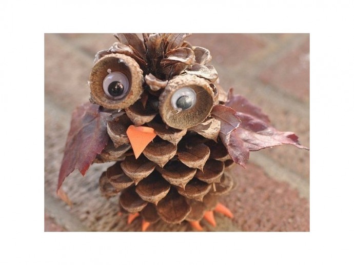 Совы из природных материалов