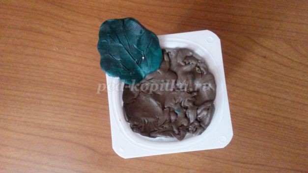 Как сделать цветы фиалки из пластилина Как сделать цветы фиалки из пластилина