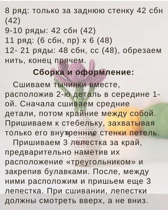 Весенние крокусы Весенние крокусы