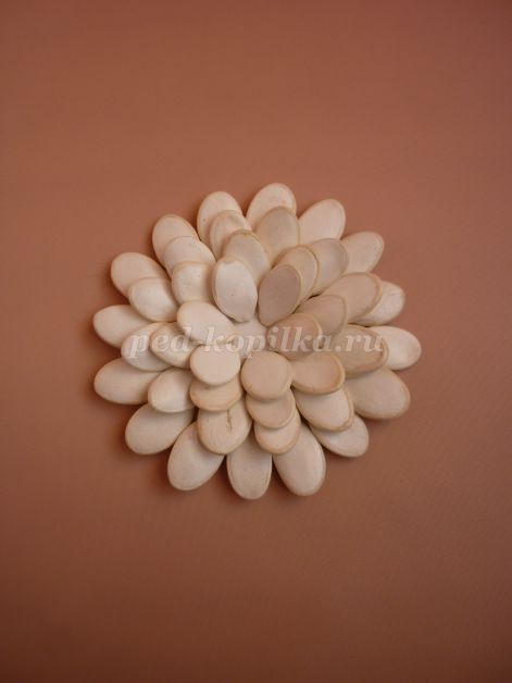 Цветы из тыквенных семечек детскими руками: мастер-класс Цветы из тыквенных семечек детскими руками: мастер-класс