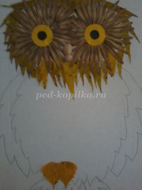 ​Совушка-сова из крылатки клёна: часть 2