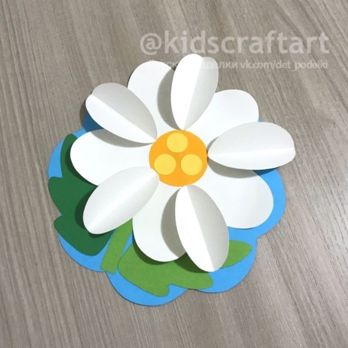 Ромашка с белыми лепестками и жёлтой серединкой