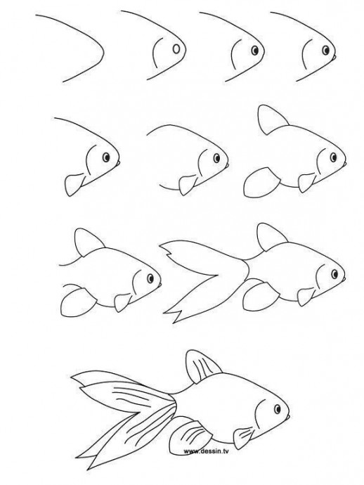 Учимся рисовать морских обитателей