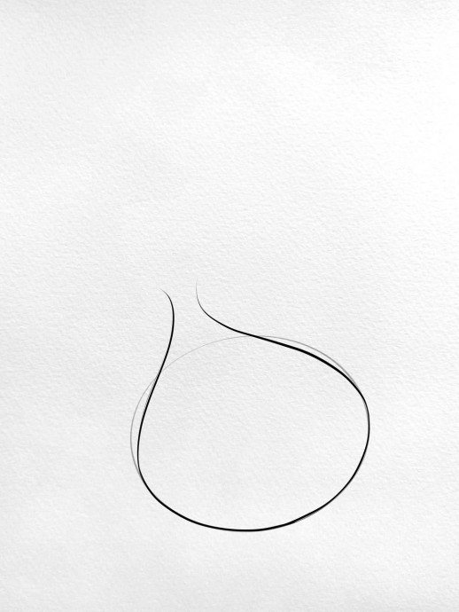 Рисуем луковицу тюльпана