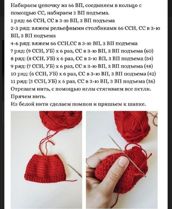 Тюлень Лори