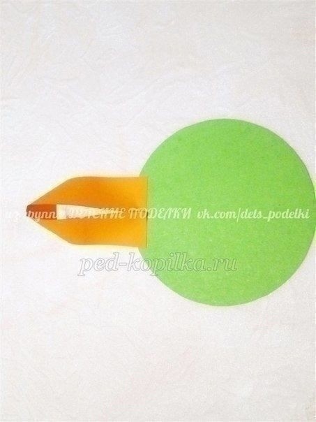 ​Зрелые подсолнушки