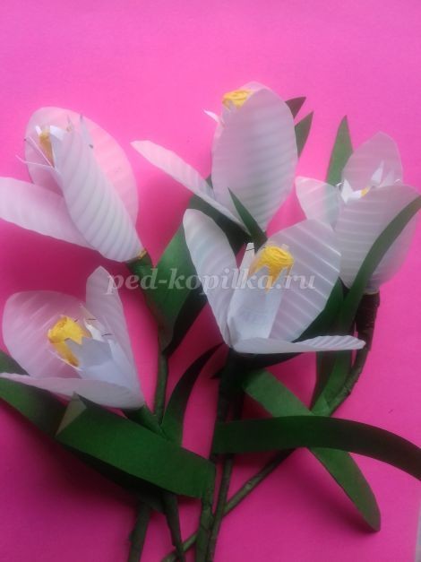 Как сделать подснежники детскими руками Как сделать подснежники детскими руками