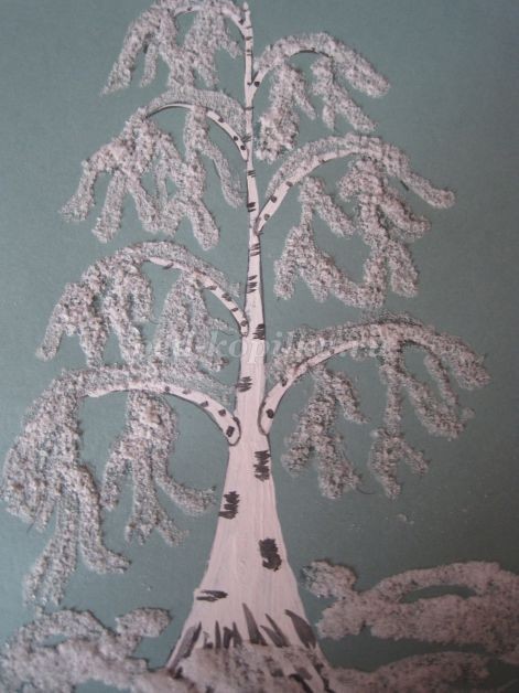 Береза в зимнем уборе: часть 2 Береза в зимнем уборе: часть 2