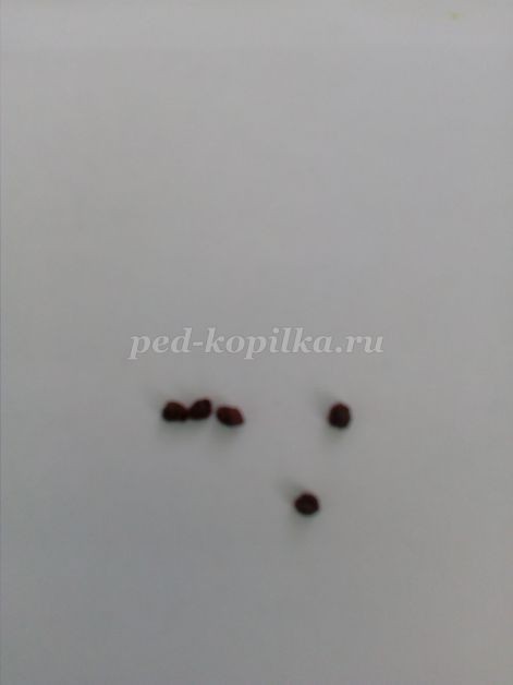 ​Подсолнух из гофрированной бумаги: часть 1