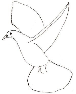 Рисуем голубя