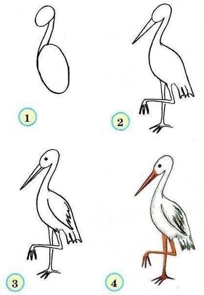 Рисуем с детками птичек