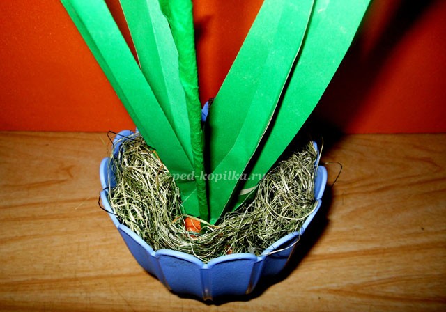 Цветущий амариллис Цветущий амариллис