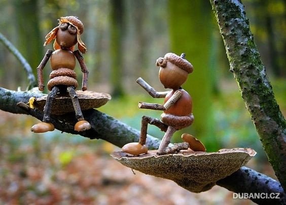 ​Весёлые желуди