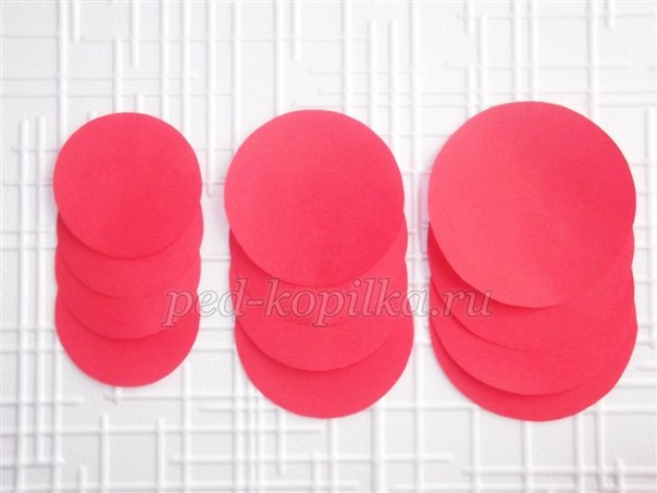 Цветы из бумаги: мастер-класс Цветы из бумаги: мастер-класс