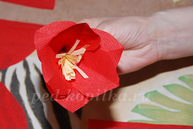 Цветы из крепированной бумаги: часть 2 Цветы из крепированной бумаги: часть 2