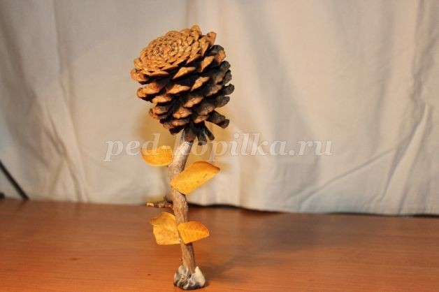 Прекрасная роза для лучшей мамы на свете