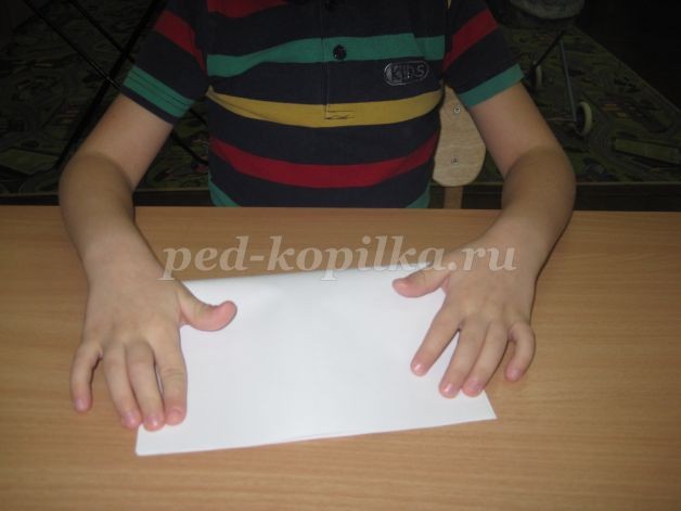 Зоопарк из бумаги Зоопарк из бумаги