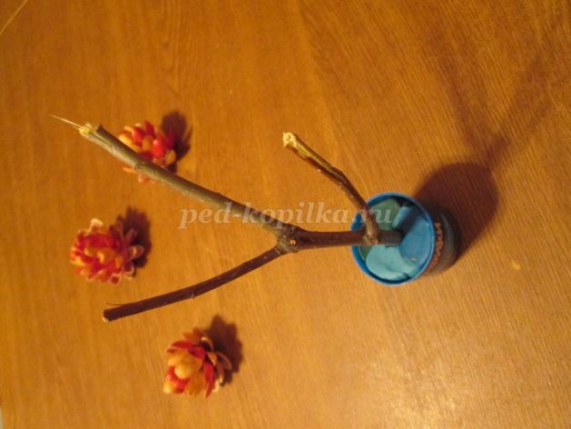 Топиарий из природного материала для детского сада: часть 2