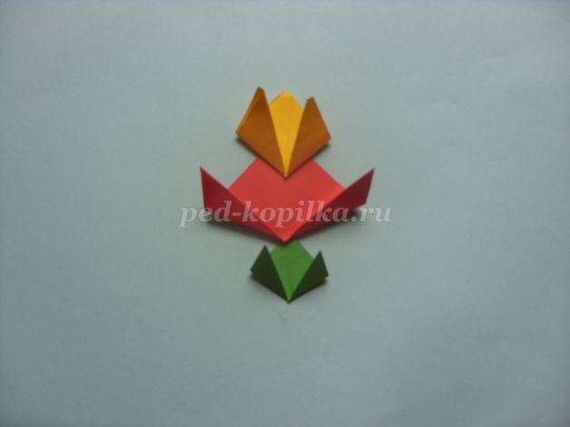 Оригами "Полевые цветы": мастер-класс, часть 1