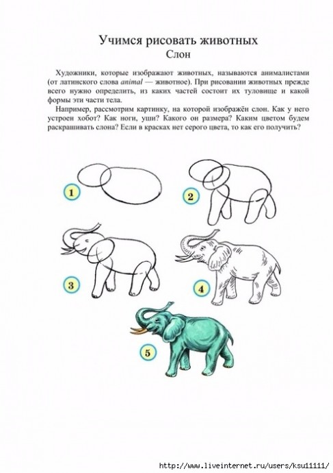 Уроки рисования: белки, ежики, слоники и зайчишки Уроки рисования: белки, ежики, слоники и зайчишки