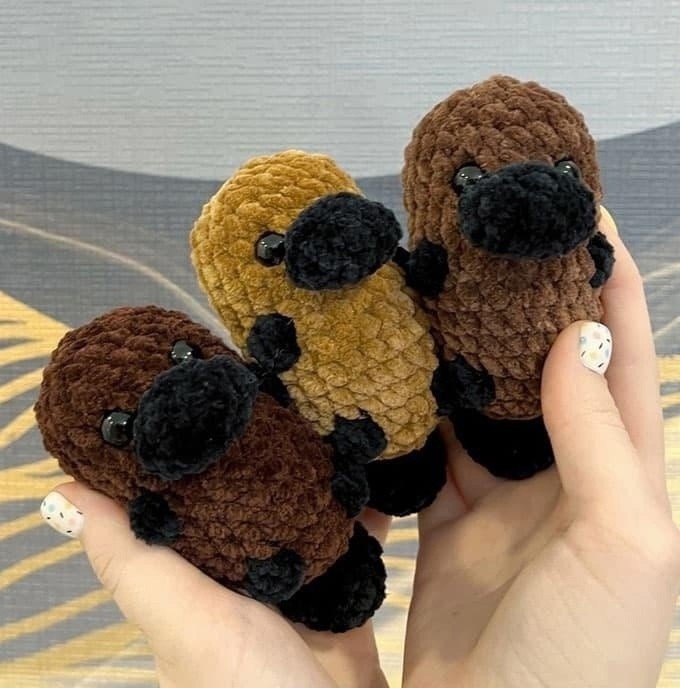 ​Утконос крючком