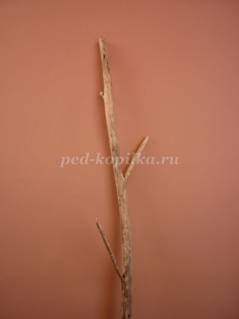 Цветы из тыквенных семечек детскими руками: мастер-класс Цветы из тыквенных семечек детскими руками: мастер-класс