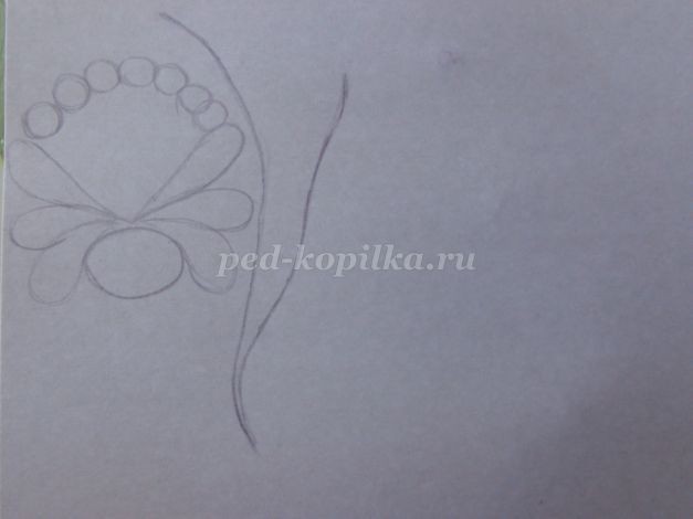 Цветы и стрекоза: часть 1 Цветы и стрекоза: часть 1