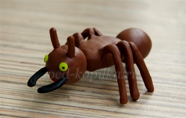 Поделки из пластилина: муравьи Поделки из пластилина: муравьи