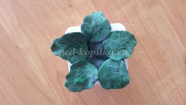 Как сделать цветы фиалки из пластилина Как сделать цветы фиалки из пластилина