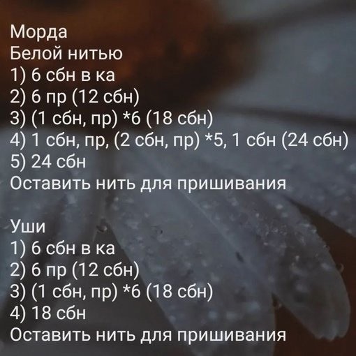 ����� �������