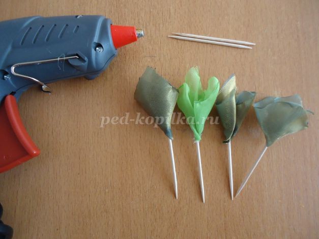 ​Кофейные подснежники: часть 2