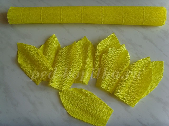 Как сделать подсолнух из кофейных зерен Как сделать подсолнух из кофейных зерен