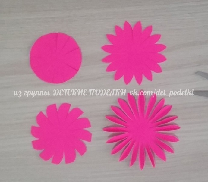 Птичка-почтальон Птичка-почтальон