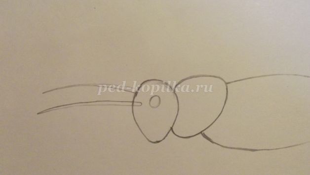 ​Рисуем кузнечика: часть 1