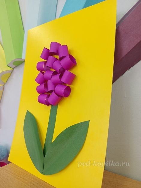 Цветок гиацинт: часть 3