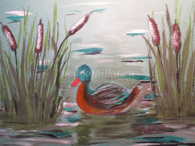​Уточка в камышах: часть 2