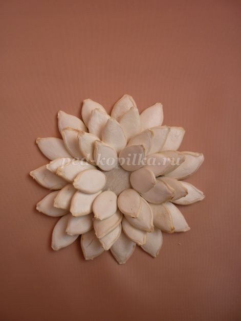 Цветы из тыквенных семечек детскими руками: мастер-класс Цветы из тыквенных семечек детскими руками: мастер-класс