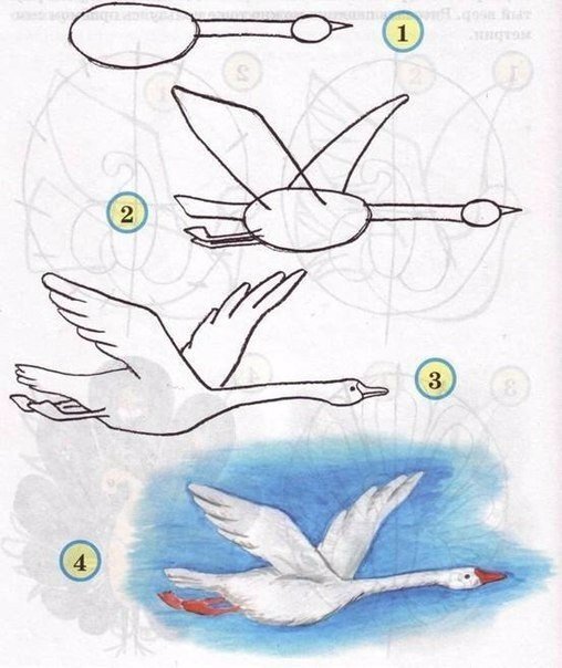 Как нарисовать птиц с детьми
