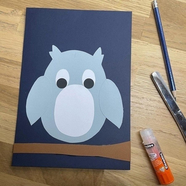 ​Ночное бодрствование совы