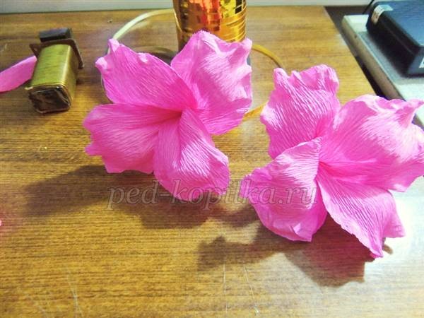Гладиолусы из гофрированной бумаги: мастер-класс, часть 3 Гладиолусы из гофрированной бумаги: мастер-класс, часть 3